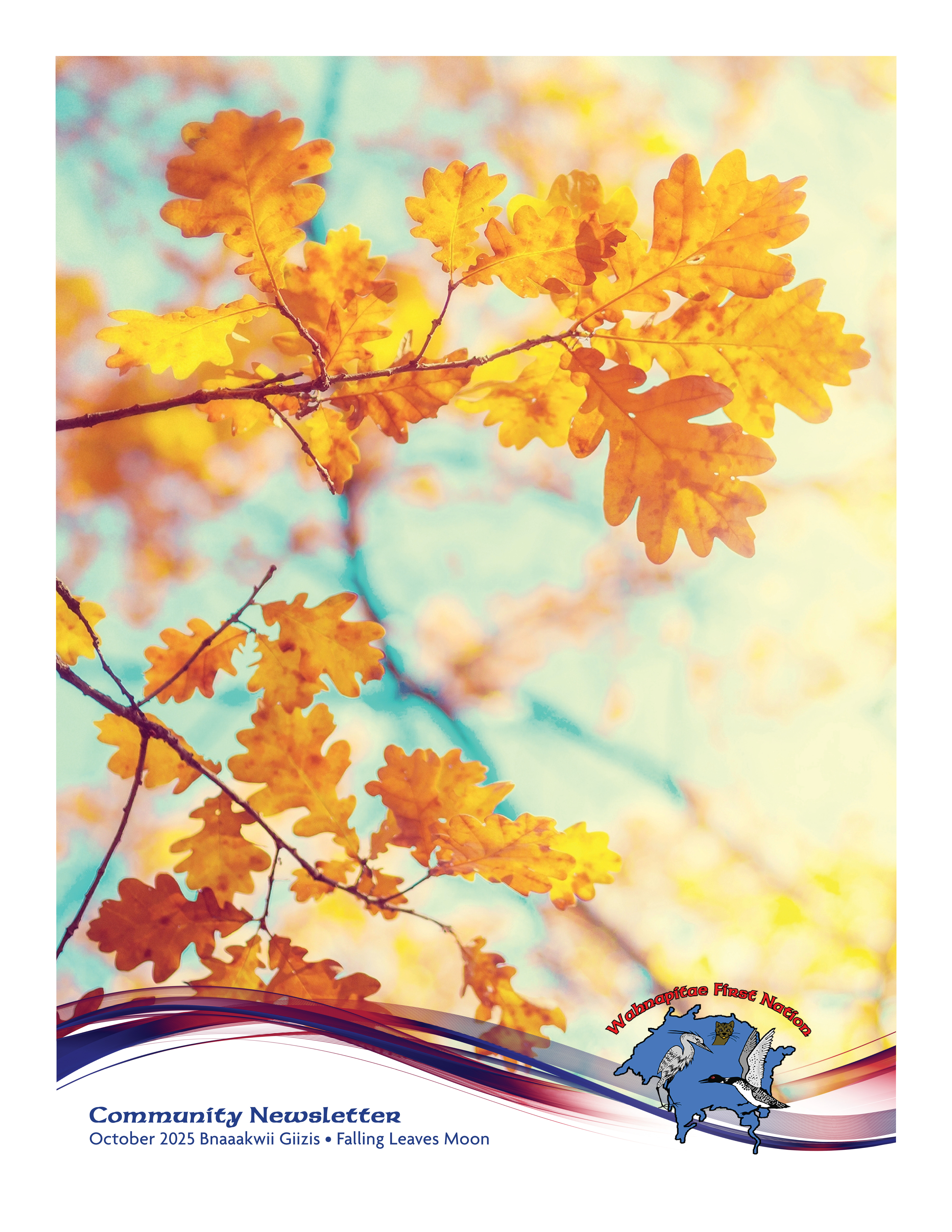 June Newsletter Cover Page