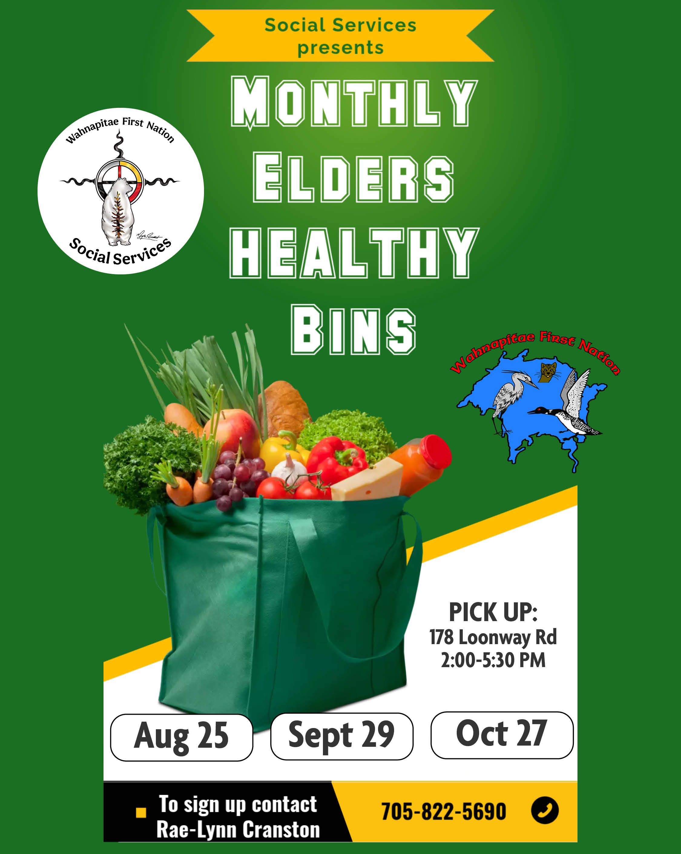 Flyer: Elder's Healthy Bins