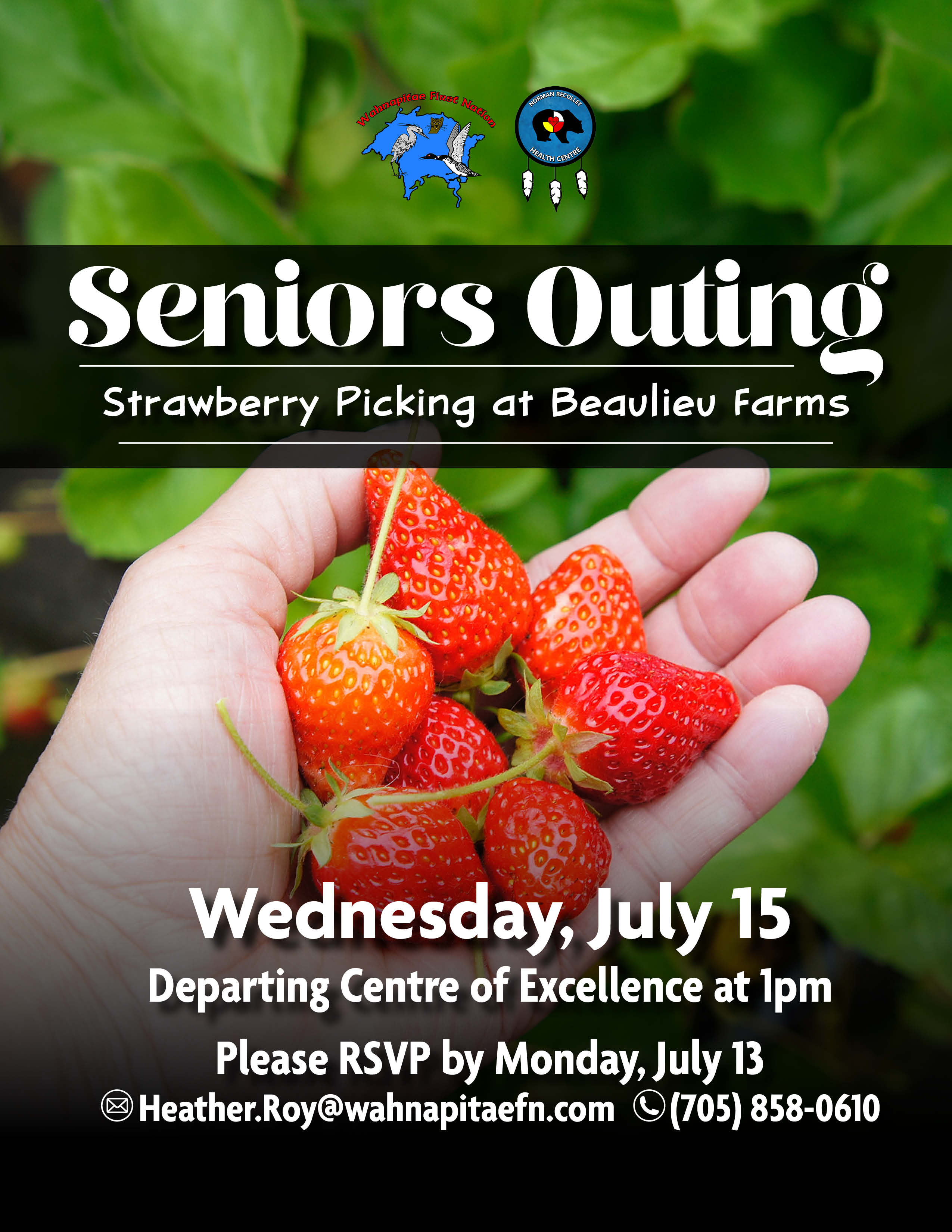 Seniors Outing: Strawberry Picking
