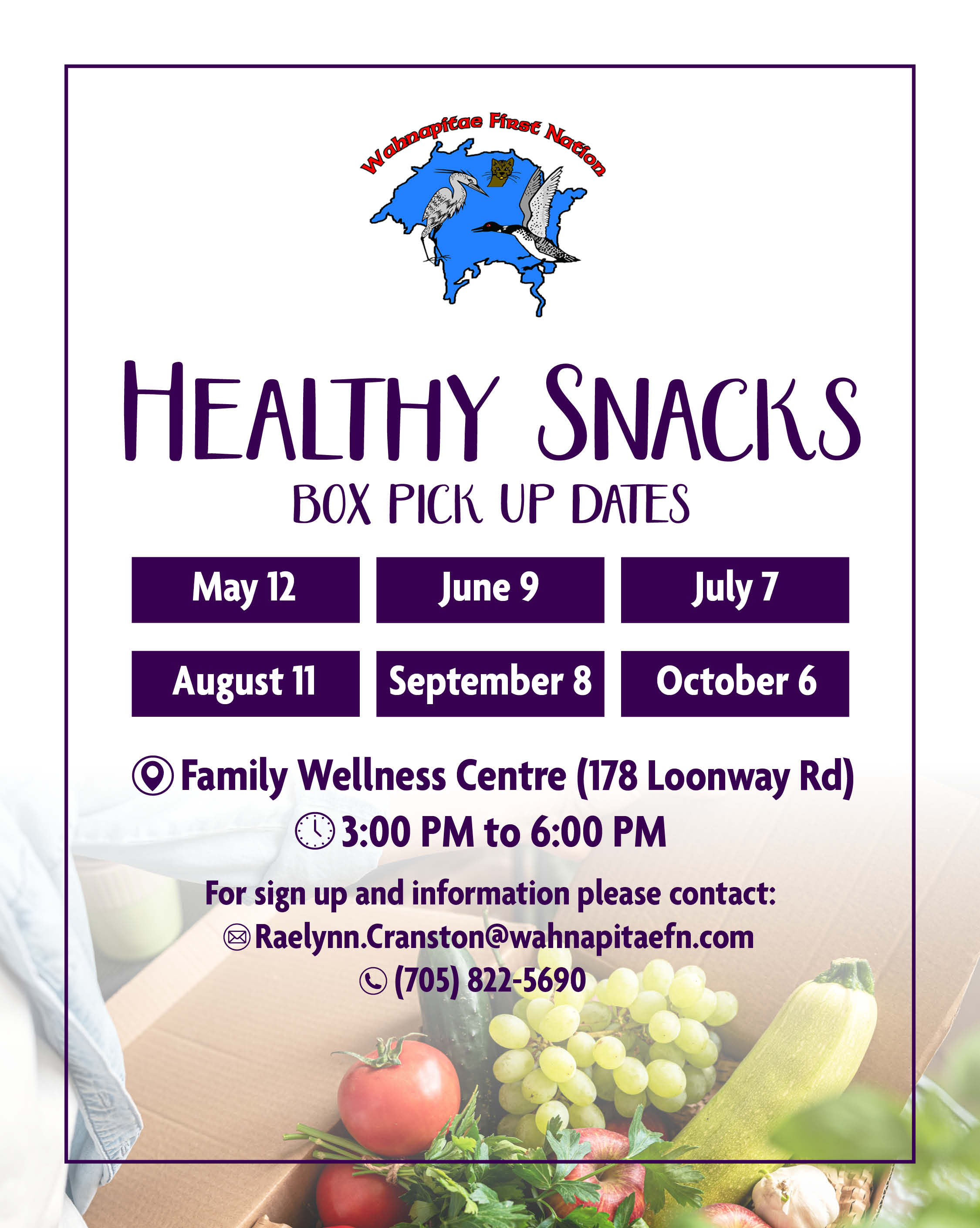 Healthy Snacks Bins